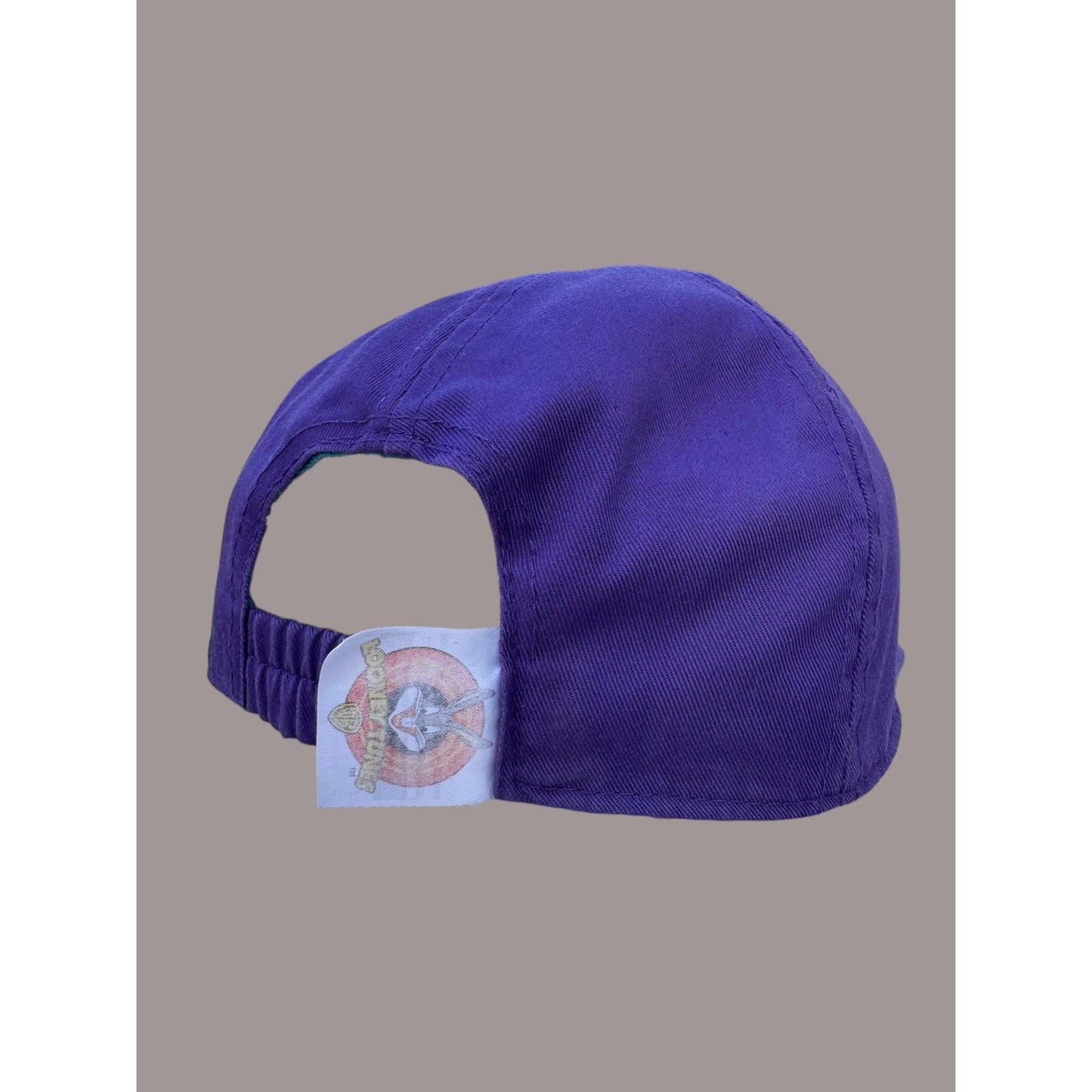 Vintage Looney Tunes Taz Tweety Strapback Hat 90s Cartoon Cap Teal Purple Warner Bros