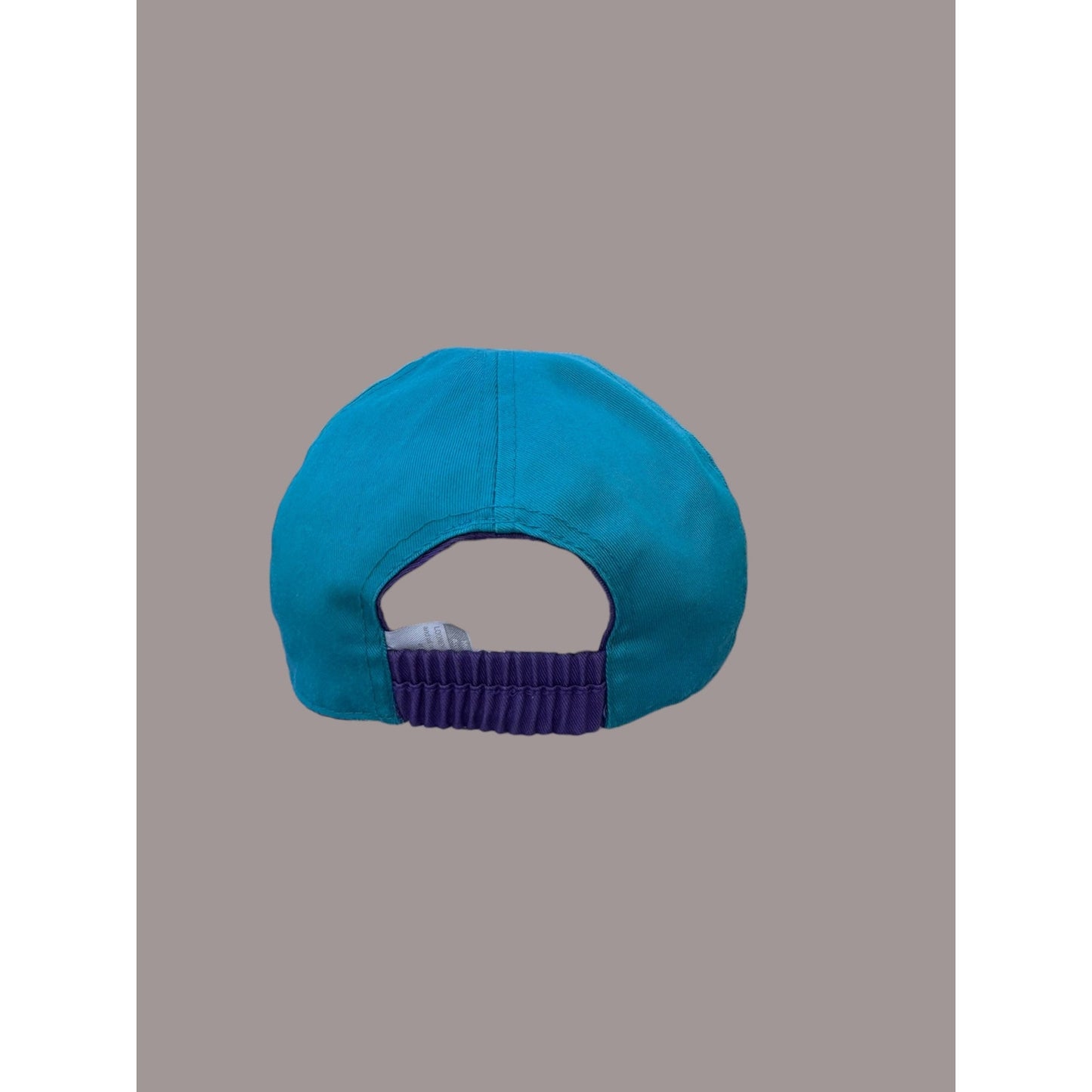 Vintage Looney Tunes Taz Tweety Strapback Hat 90s Cartoon Cap Teal Purple Warner Bros