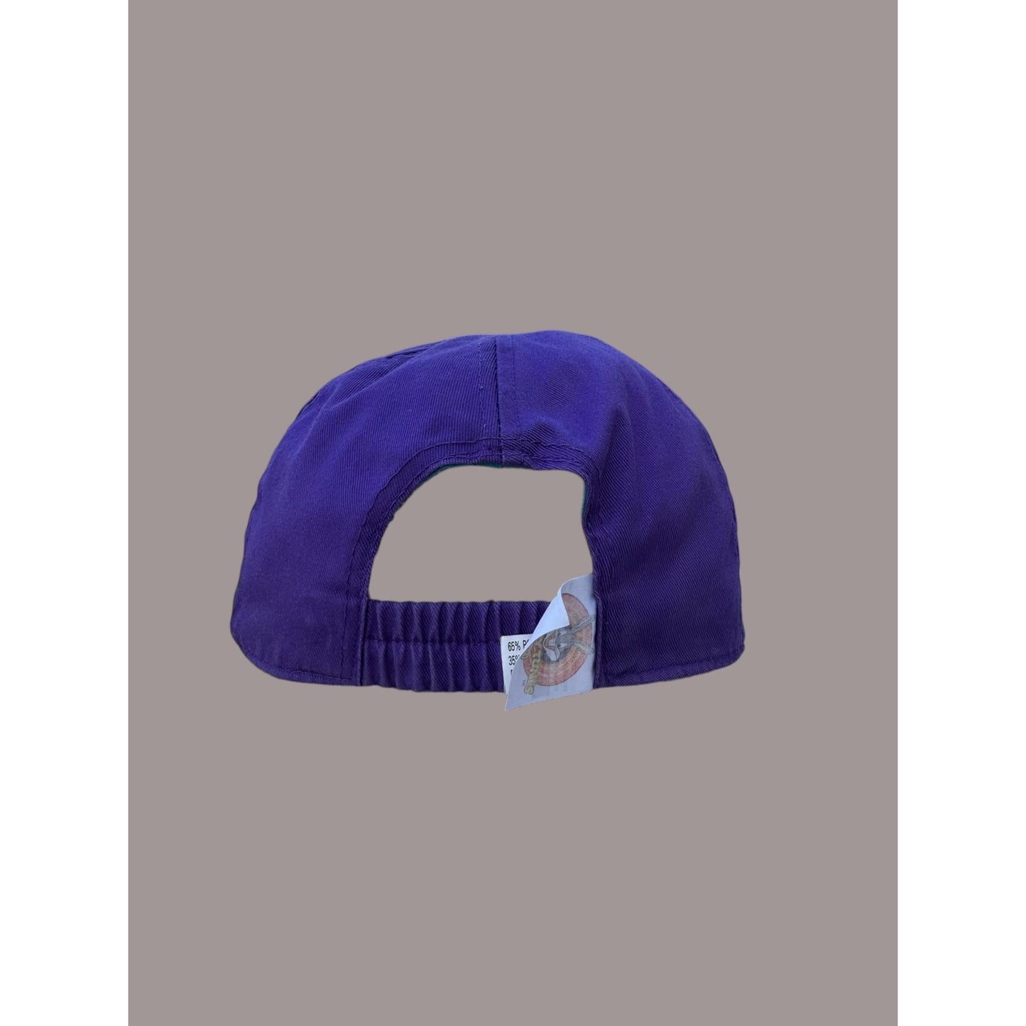 Vintage Looney Tunes Taz Tweety Strapback Hat 90s Cartoon Cap Teal Purple Warner Bros