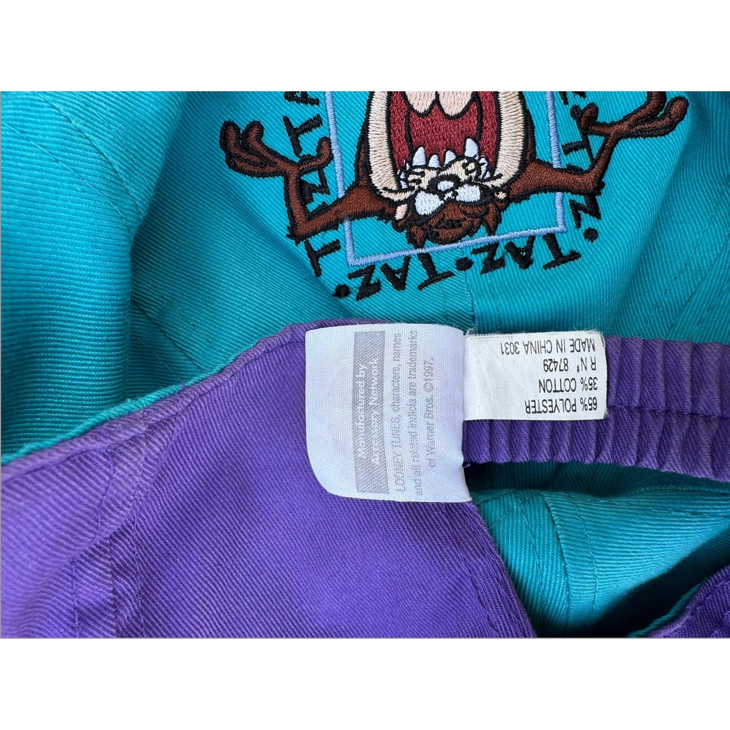 Vintage Looney Tunes Taz Tweety Strapback Hat 90s Cartoon Cap Teal Purple Warner Bros
