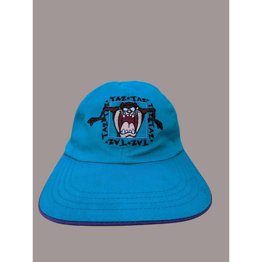 Vintage Looney Tunes Taz Tweety Strapback Hat 90s Cartoon Cap Teal Purple Warner Bros