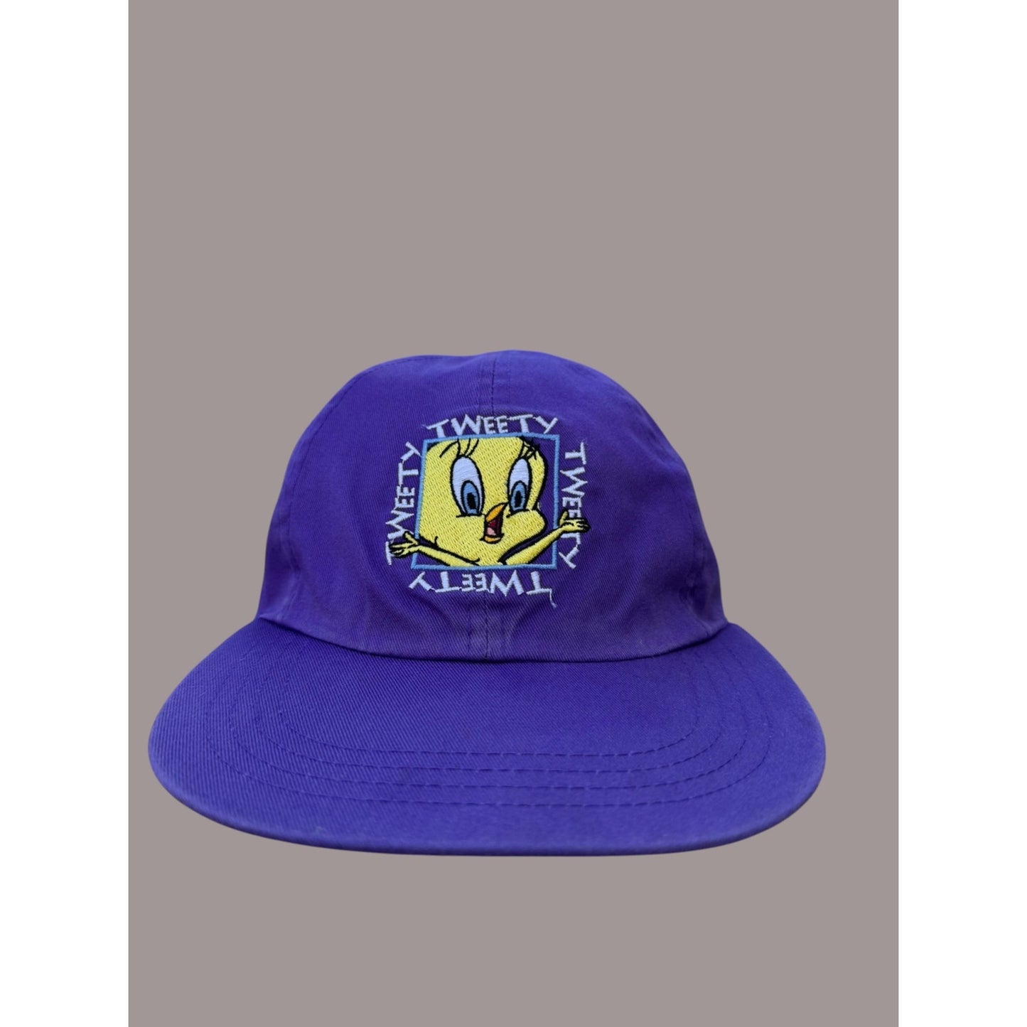 Vintage Looney Tunes Taz Tweety Strapback Hat 90s Cartoon Cap Teal Purple Warner Bros